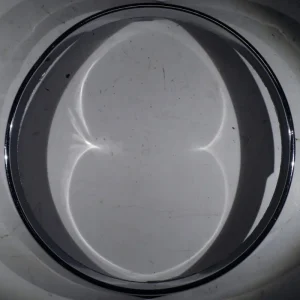 Utförsäljning 1964 Buick LeSabre lampsarg inre höger