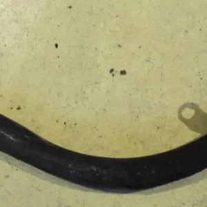 1956 Cadillacvevhus ventilations rör Erbjudandepris