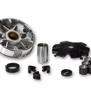 Variator Multivar, Malossi Reapris