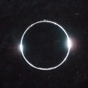 1964 Buick Electra inner headlight door left Premium