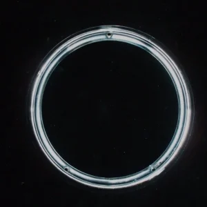 1964 Ford Galaxie headlight door Begränsad tid