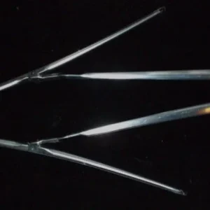 1965 Cadillac wipwer arms (pair) Reapris