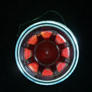 1961 Oldsmobile taillight (without chrome ring) Billig