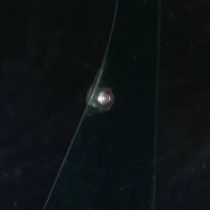 1960 Desoto ventilation window unit glass Rabatt