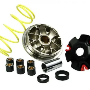 Variator, Malossi Multivar Begränsat erbjudande