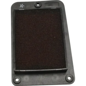 Trygg betalning Luftfilterelement, SR50